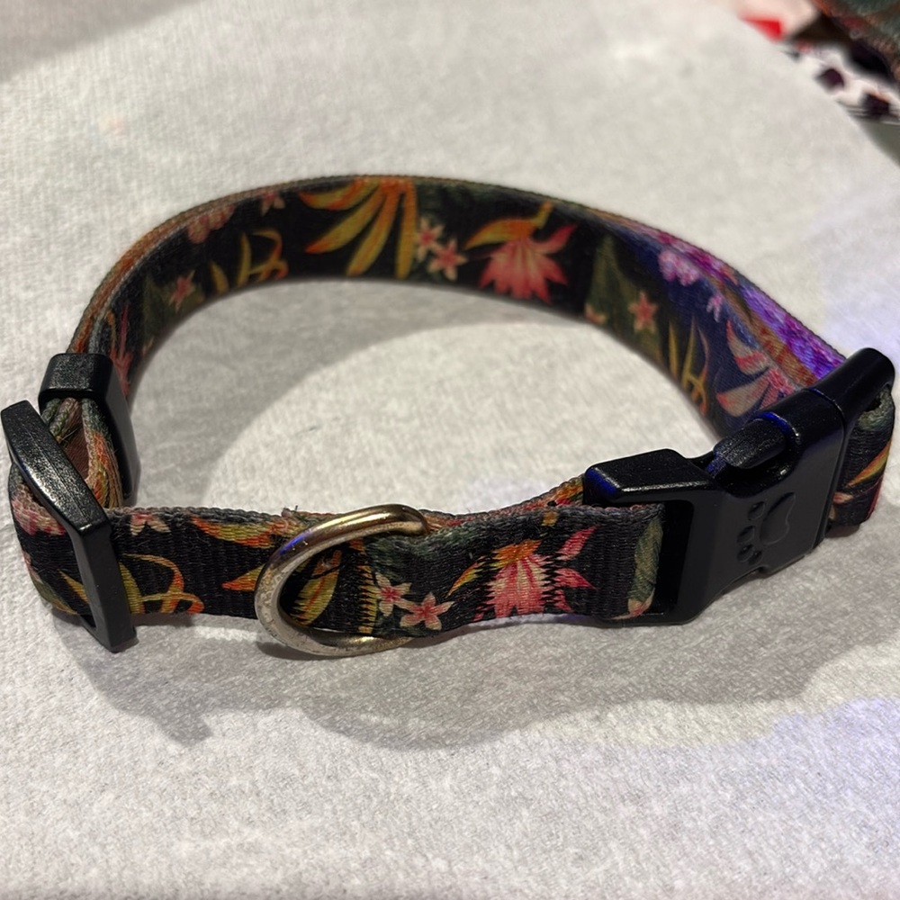 Medium - Large Halloween Dog or cat collar